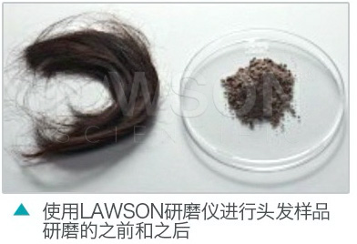 頭發研磨效果.png 頭發研磨效果.png